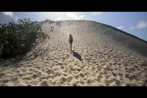 【女友怎么穿．夏】林中探险只为与男友野战打炮  背景图片