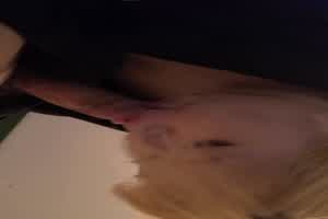 熟女发情吃大鸡巴  背景图片