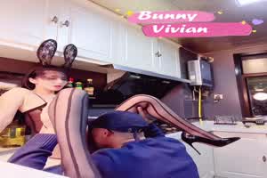 bunny vivian 厨房里的兔女郎 1  背景图片