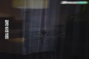 【第一级】警花张津瑜上位复仇记  背景图片