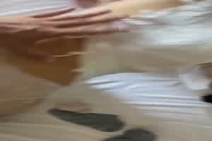 青岛高中夹子音27岁美女班主任刘思语  背景图片