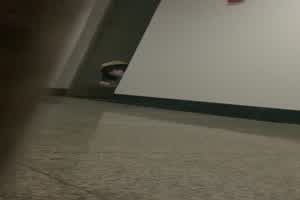 楼梯偷拍妹子短裙内裤 短发妹子有够骚的  背景图片