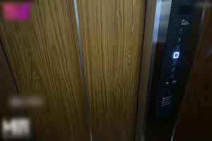 麻豆传媒 遭遇调教女  背景图片