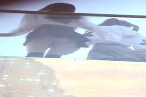 全网疯传！韩国美女啦啦队风中狂舞裙底风光一览无余  背景图片