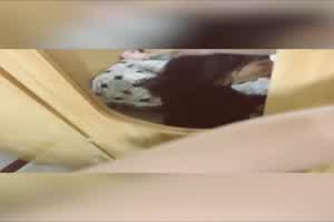 小网红可爱娇喘声音 越肏越大声 水越来越多  背景图片