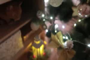 圣诞精灵肛门性交并获得面部射液  背景图片