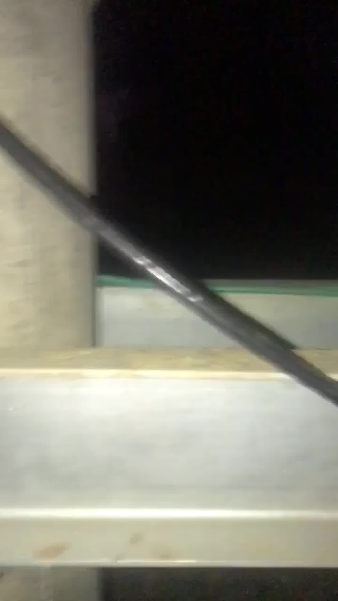  夜里郊外内射熟女嫂子骚逼回家大哥再射里面 的剧照4