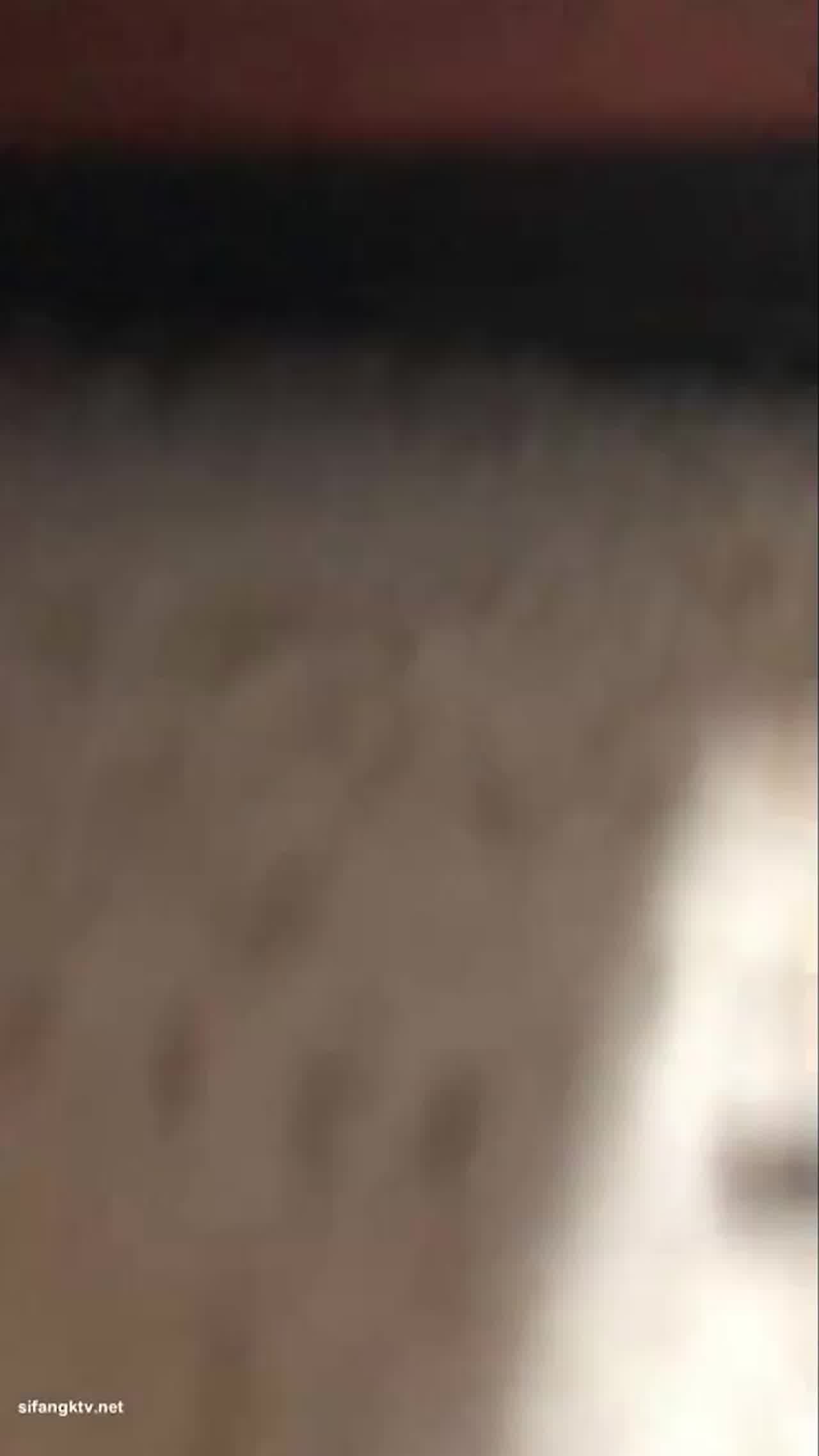  包养性感妹用肉棒勾起淫荡体质 的剧照2